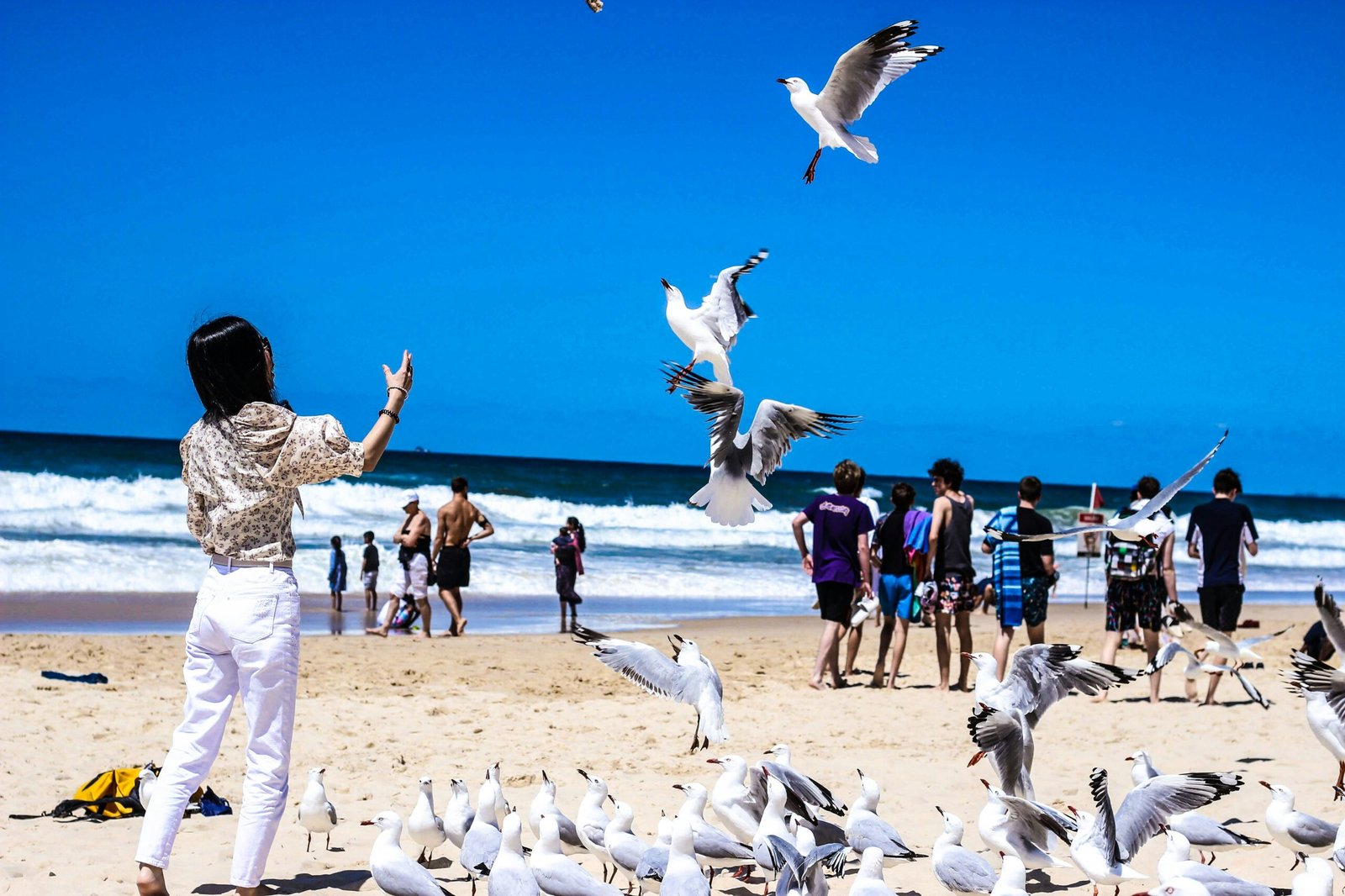 woman wearing white pants near white birds on seashore